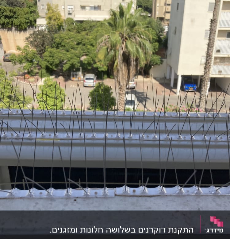 דוקרנים למניעת יונים על אדן חלון